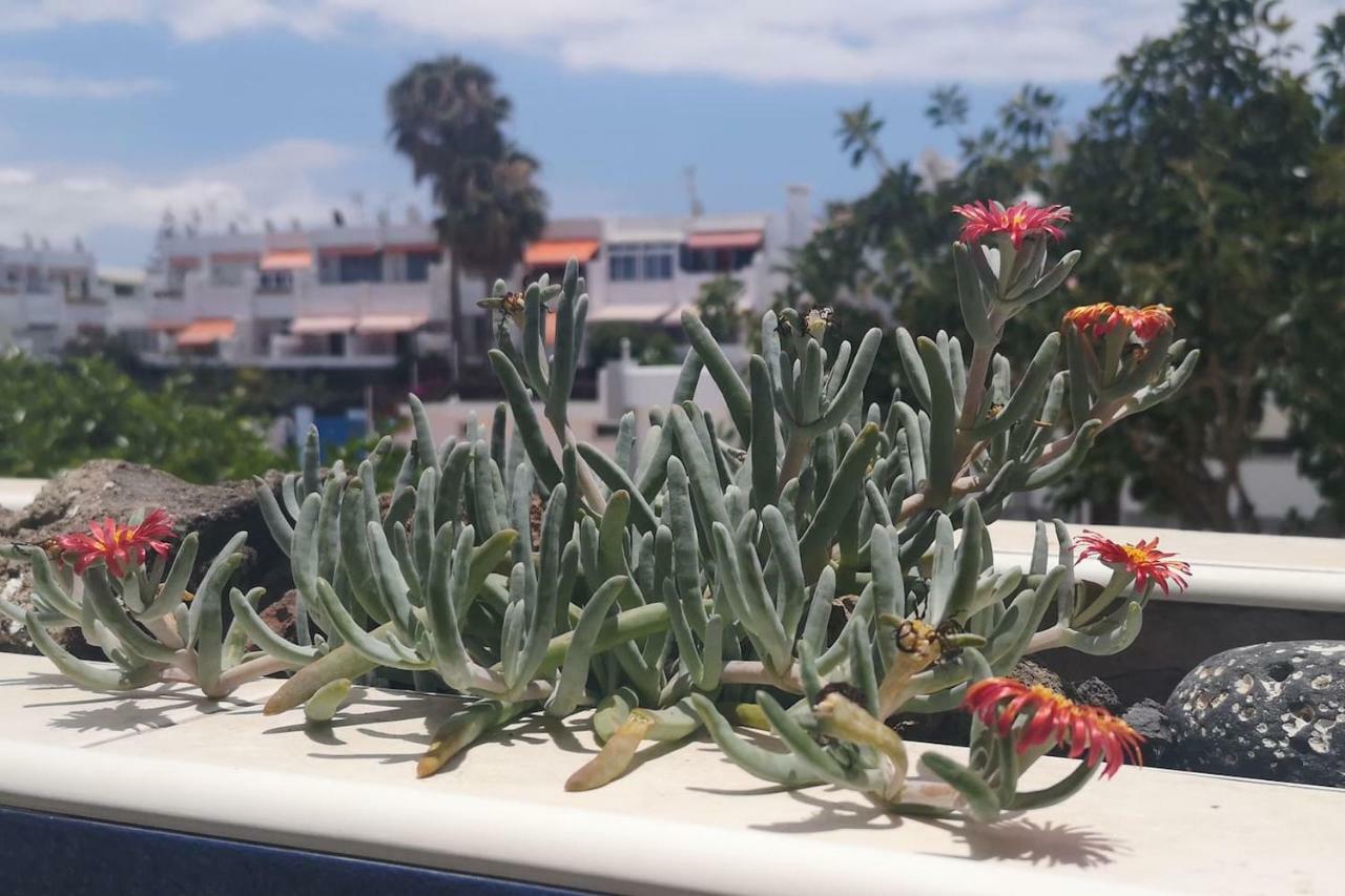Casa Maggiore Di 3 Lovely Apt Costa Del Silencio Βίλα Εξωτερικό φωτογραφία